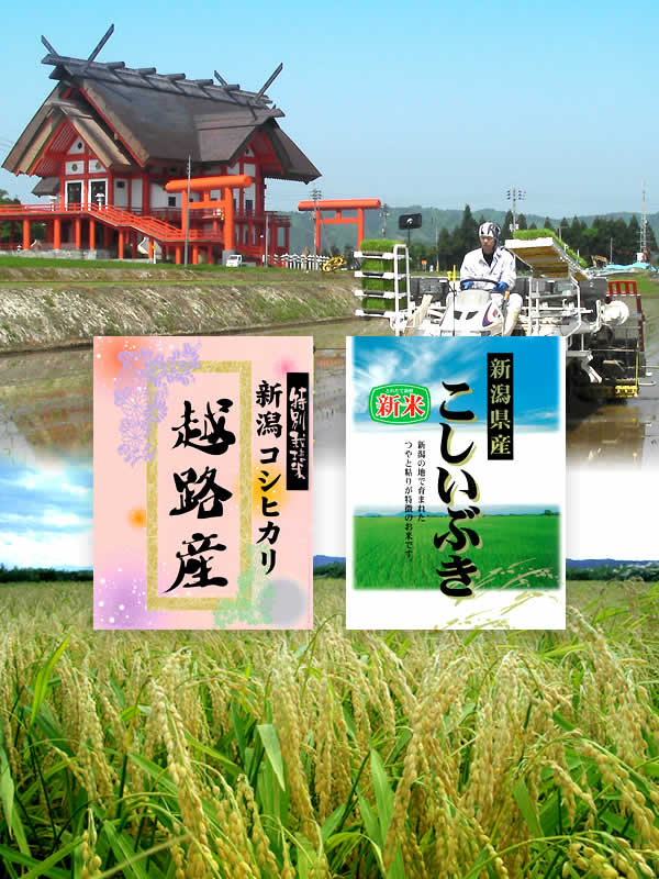 清造農園の作業風景と稲穂の風景、お米製品などのイメージ