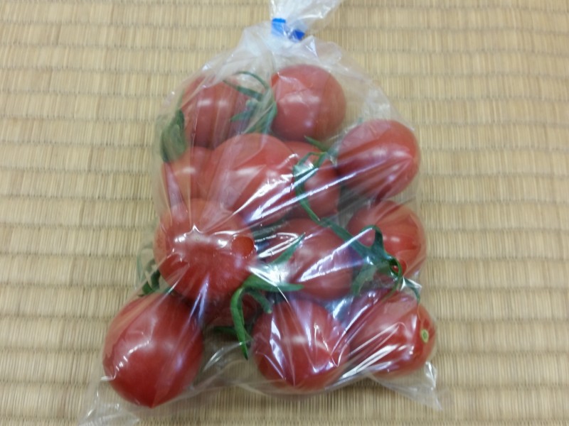 中玉トマト（フルティカ）
